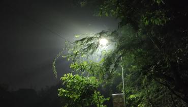 Instigram Photo Gallery