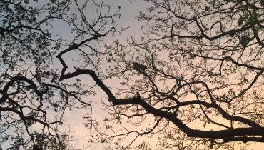 Instigram Photo Gallery