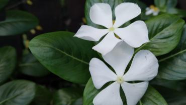 Instigram Photo Gallery