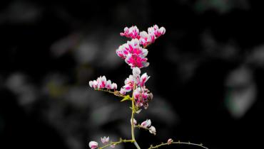 Instigram Photo Gallery