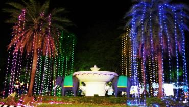 Instigram Photo Gallery
