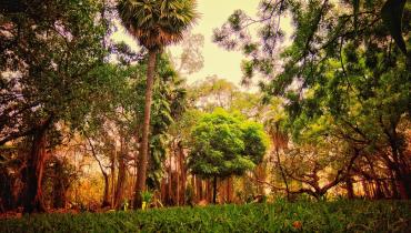 Instigram Photo Gallery