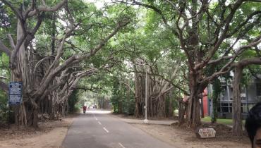 Instigram Photo Gallery