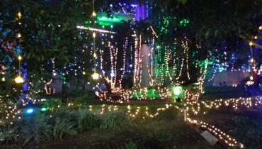 Instigram Photo Gallery