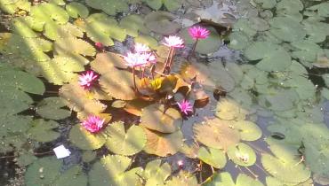 Instigram Photo Gallery