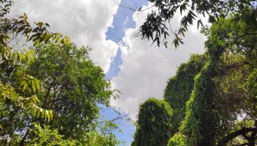 Instigram Photo Gallery