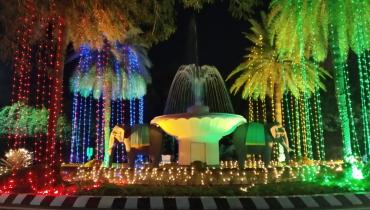 Instigram Photo Gallery