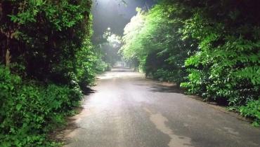 Instigram Photo Gallery