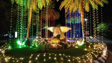 Instigram Photo Gallery
