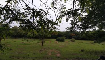 Instigram Photo Gallery