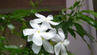 Instigram Photo Gallery