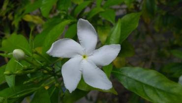 Instigram Photo Gallery