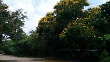 Instigram Photo Gallery
