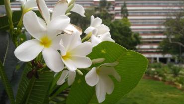 Instigram Photo Gallery