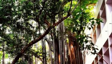 Instigram Photo Gallery