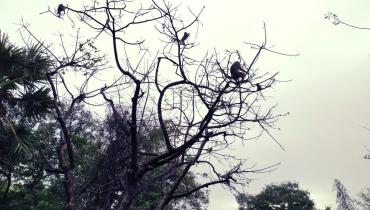 Instigram Photo Gallery