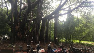 Instigram Photo Gallery