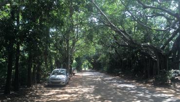 Instigram Photo Gallery