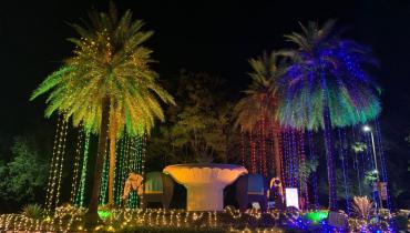 Instigram Photo Gallery