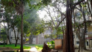 Instigram Photo Gallery
