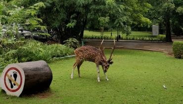 Instigram Photo Gallery