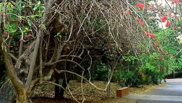Instigram Photo Gallery