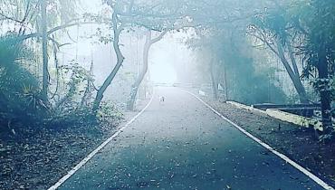 Instigram Photo Gallery