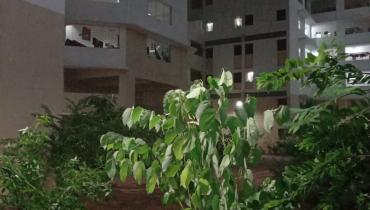 Instigram Photo Gallery