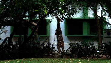 Instigram Photo Gallery