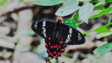 Instigram Photo Gallery