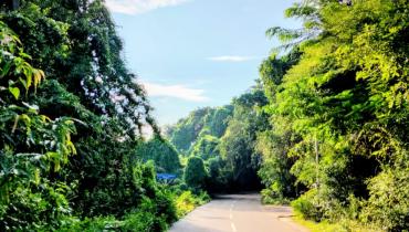 Instigram Photo Gallery