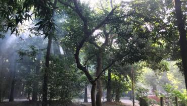 Instigram Photo Gallery
