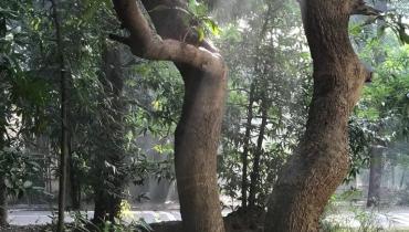 Instigram Photo Gallery