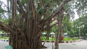 Instigram Photo Gallery