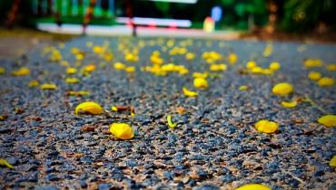 Instigram Photo Gallery