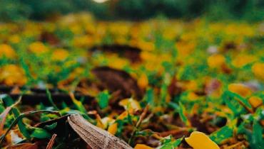 Instigram Photo Gallery