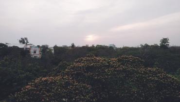 Instigram Photo Gallery