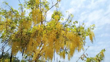 Instigram Photo Gallery