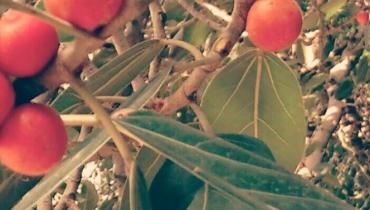 Instigram Photo Gallery