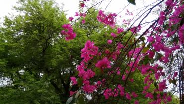 Instigram Photo Gallery