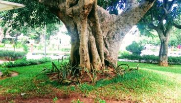 Instigram Photo Gallery