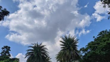 Instigram Photo Gallery