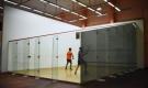 Gold: Squash Edition