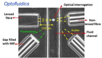 Microfluidic flow analyzer with multiplexed fluorescence sensing