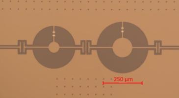 Investigating quantum speed limits with superconducting qubits