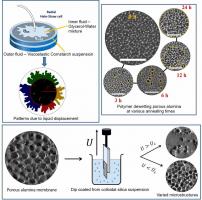 COATING FLOWS AND FEATURES OF LIQUIDS, SUSPENSIONS, AND POLYMERS NEAR POROUS…