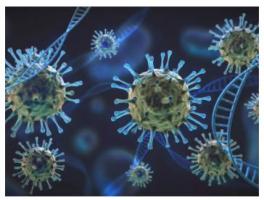 IIT Madras researchers develop database on coronavirus antibodies
