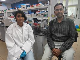 IIT Madras develops injectable hydrogel that could replace weeks of daily medication…